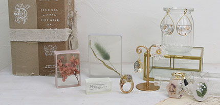 マイスタープロクラス